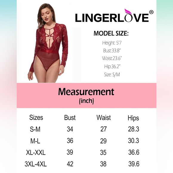 Wine Lace Bodysuit - Picture 3 of 4